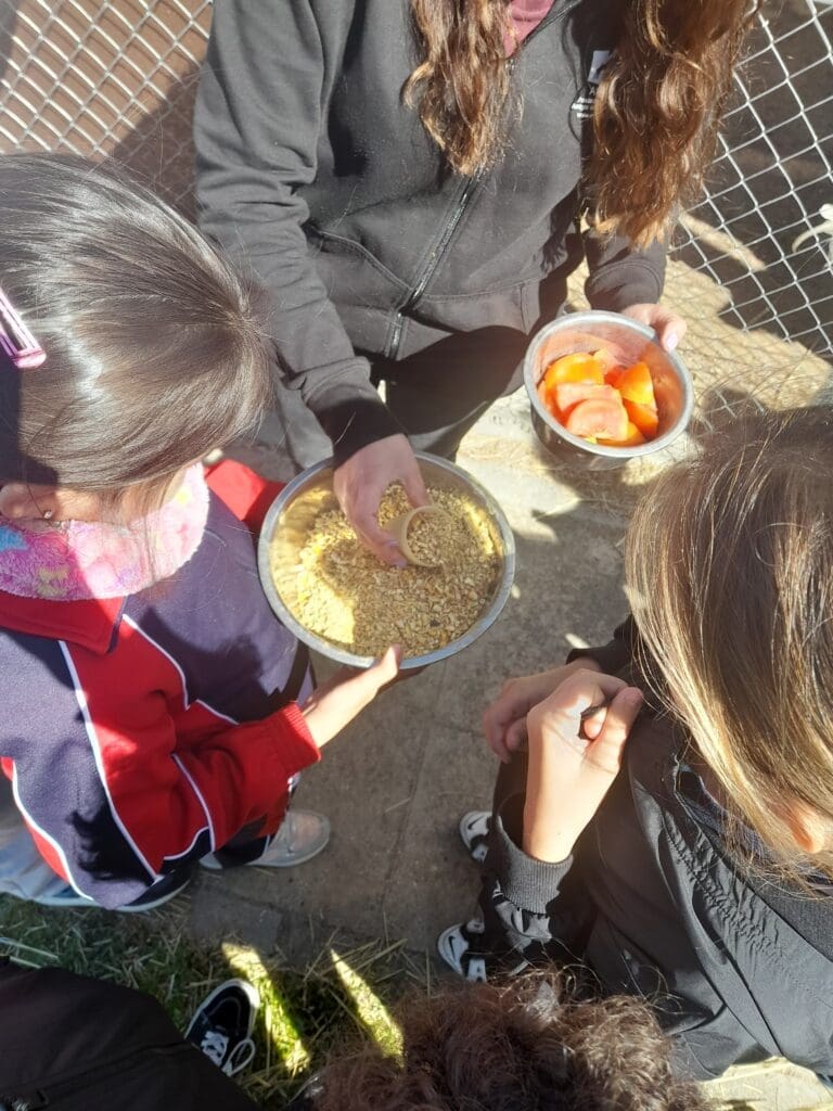 Niños y niñas aprenden la realidad de los animales abandonados en las instalaciones de ANAA.
