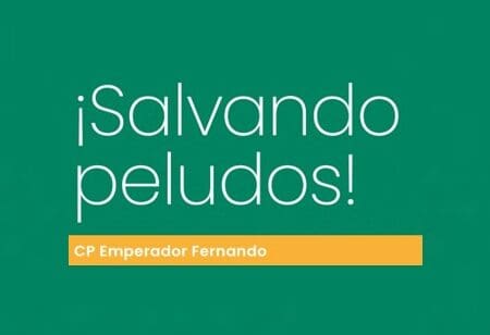 ¡Salvando Peludos!